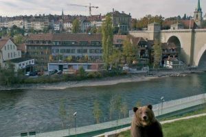 Parque de Osos Bern( photo Google) (1) (1)